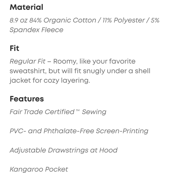 Patagonia Pullover Hoodie - Picture 4 of 11